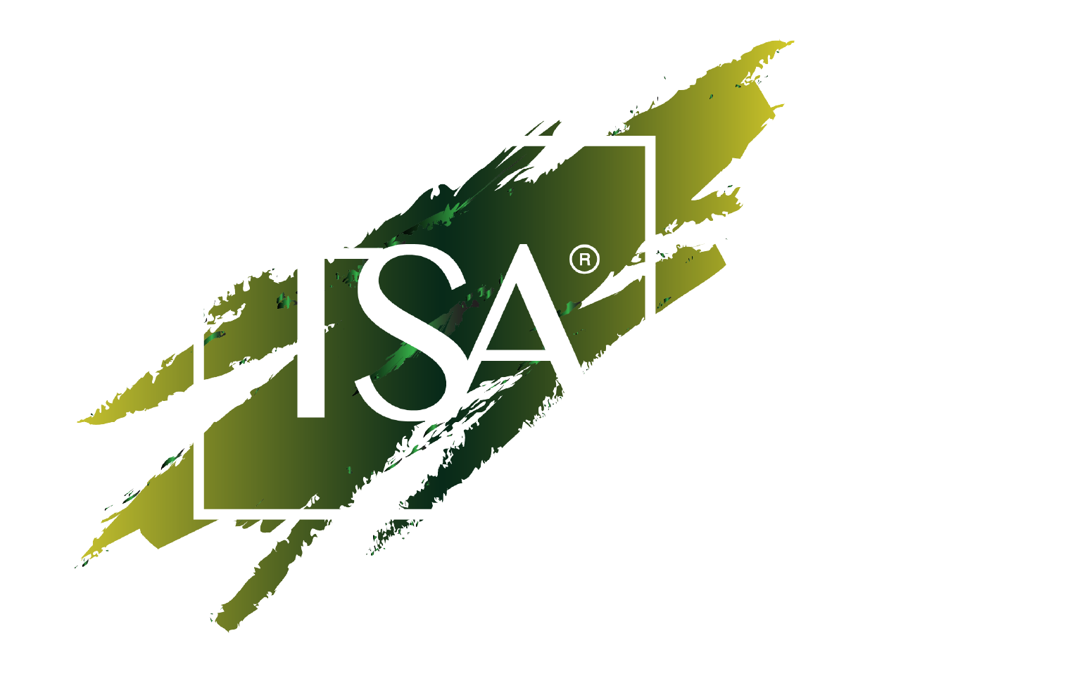 TSA logo